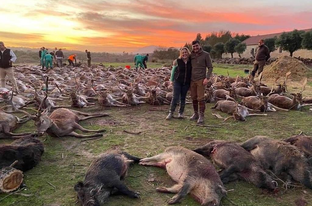 Associações ambientais e de defesa dos animais exigem responsabilizações por matança na Azambuja